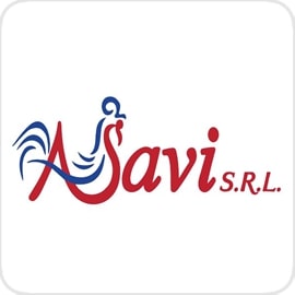 logo ASAVI S.R.L.