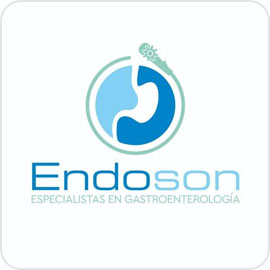 logo ENDOSON