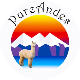 logo PURE ANDES TRAVEL & TOURS