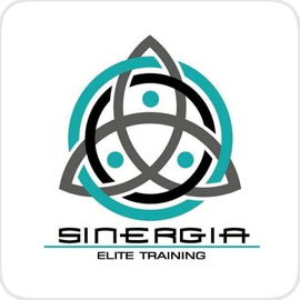 logo SINERGIA