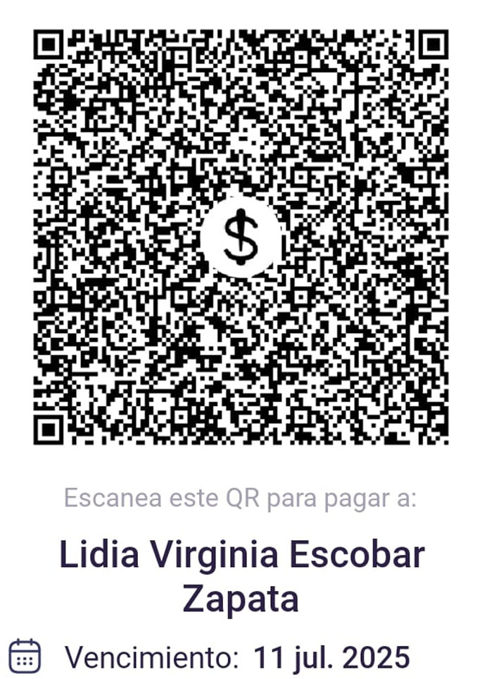 Qr de pago