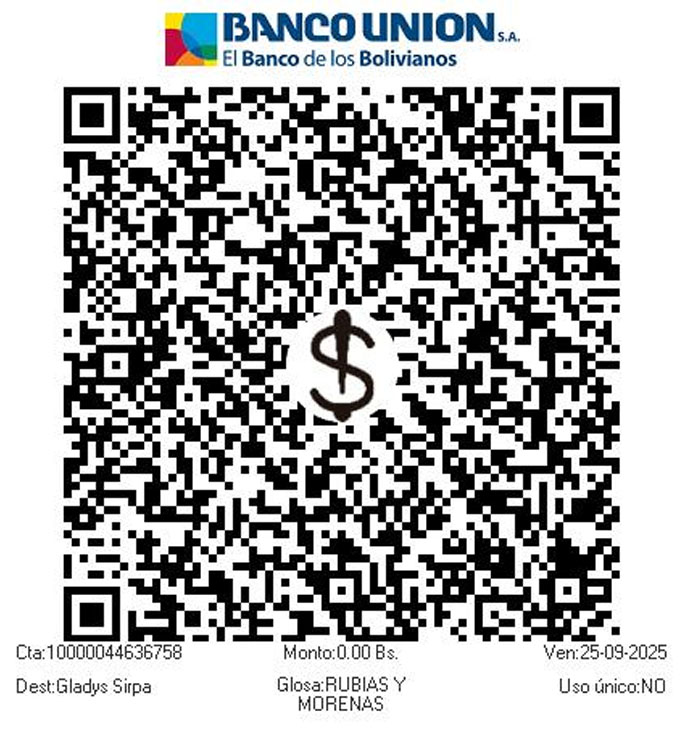 Qr de pago